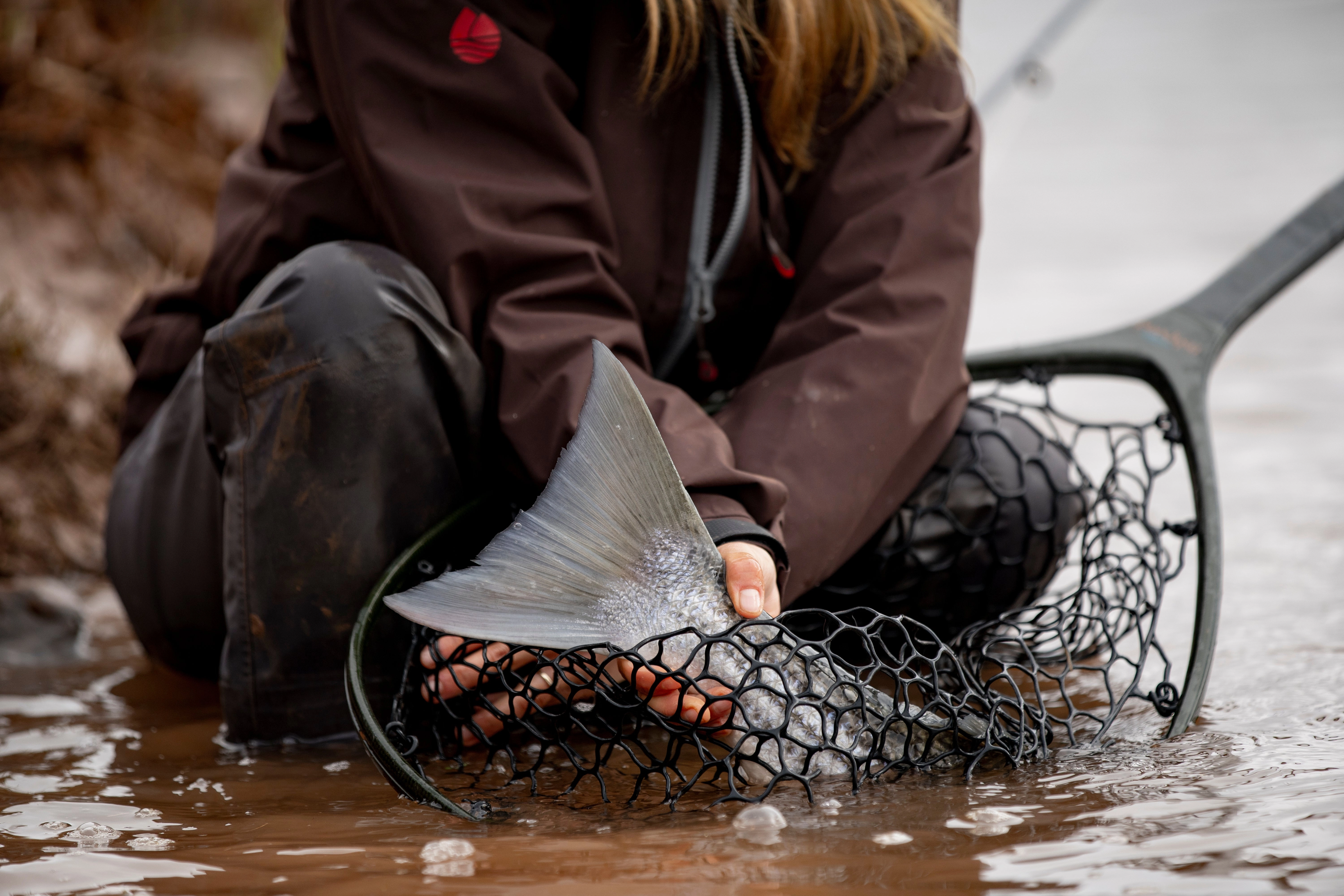 Fishpond Nomad Mid-Length Boat Net