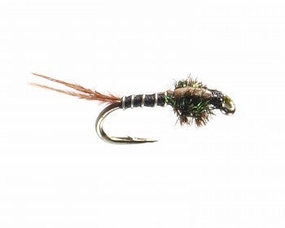 Flashback Quill Nymph