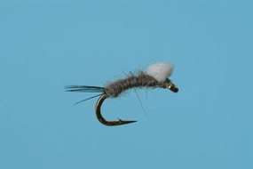 Foam Wing RS2