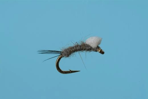 Foam Wing RS2