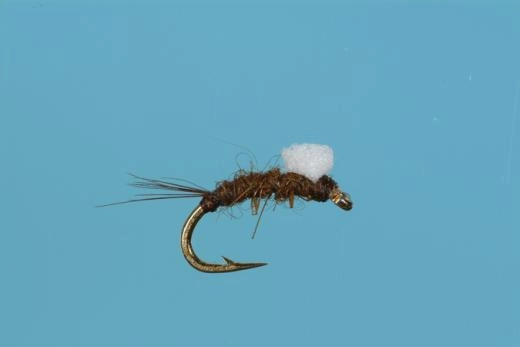 Foam Wing RS2