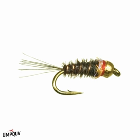 Frenchie Tungsten Nymph