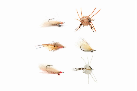 Fulling Mill Tropics Selection