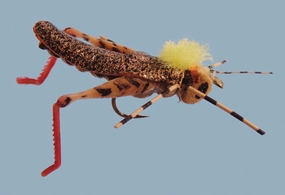 Furimsky's Hot Legs Hopper