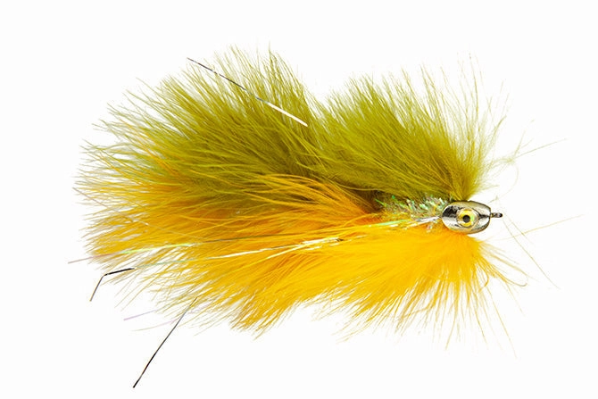 Galloup's Barely Legal (Fish Skull)