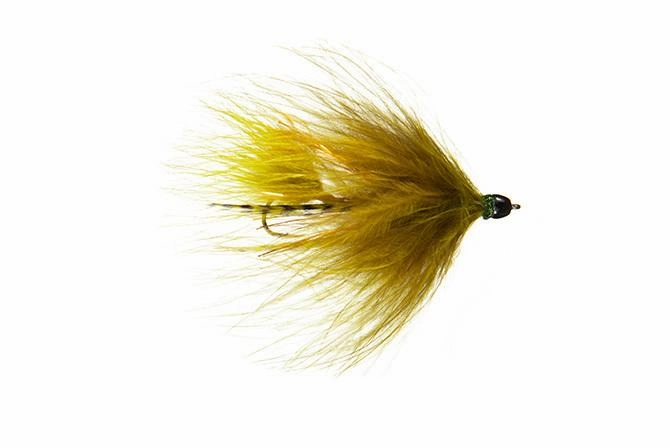 Galloup's Conehead TA Leech