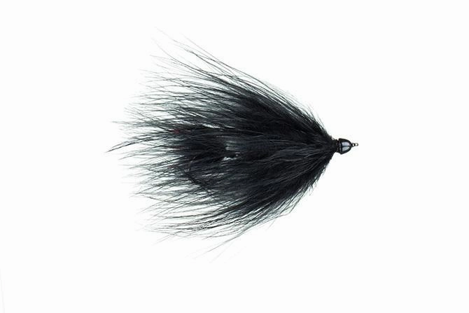 Galloup's Conehead TA Leech
