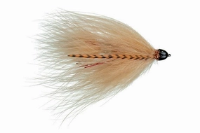 Galloup's Conehead TA Leech