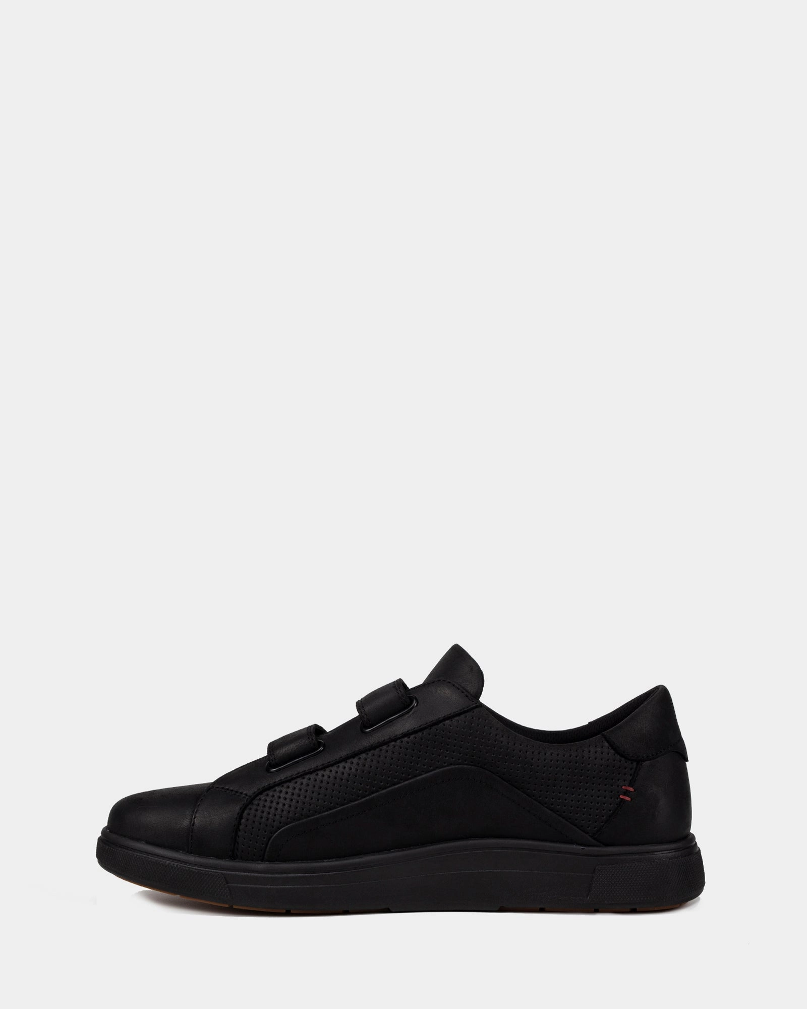 Gamma Black Wild Sustainable