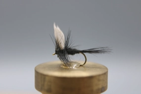Gnat Black Dry