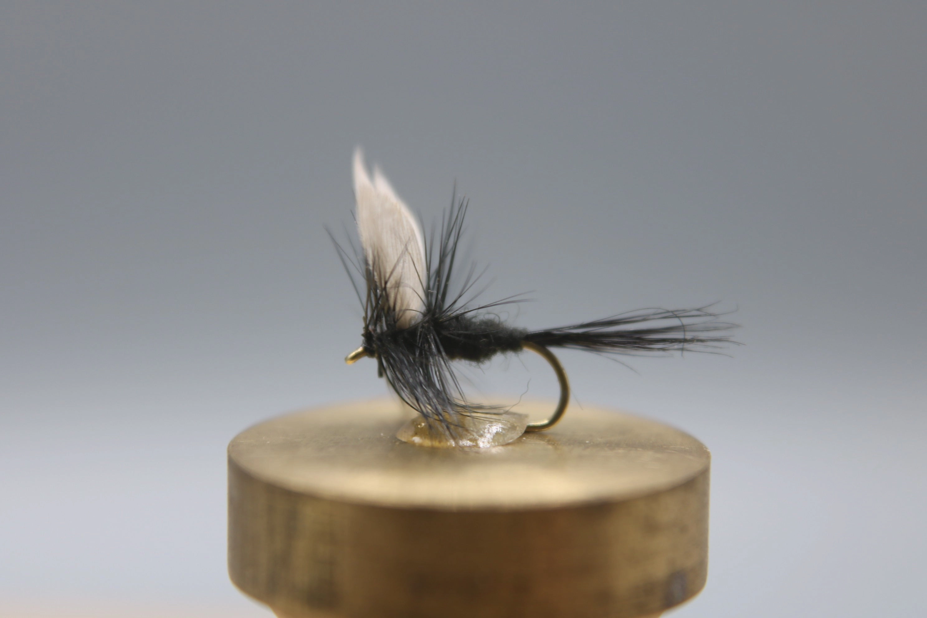 Gnat Black Dry