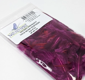 Golden Pheasant Gold Rump Feathers