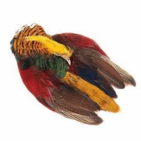 Golden Pheasant Whole Skin - Wapsi