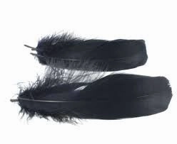 Goose shoulder Feathers - Wapsi