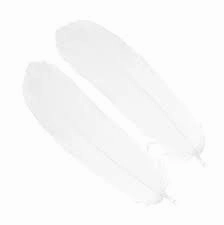 Goose shoulder Feathers - Wapsi