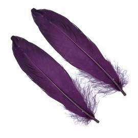 Goose shoulder Feathers - Wapsi