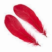 Goose shoulder Feathers - Wapsi