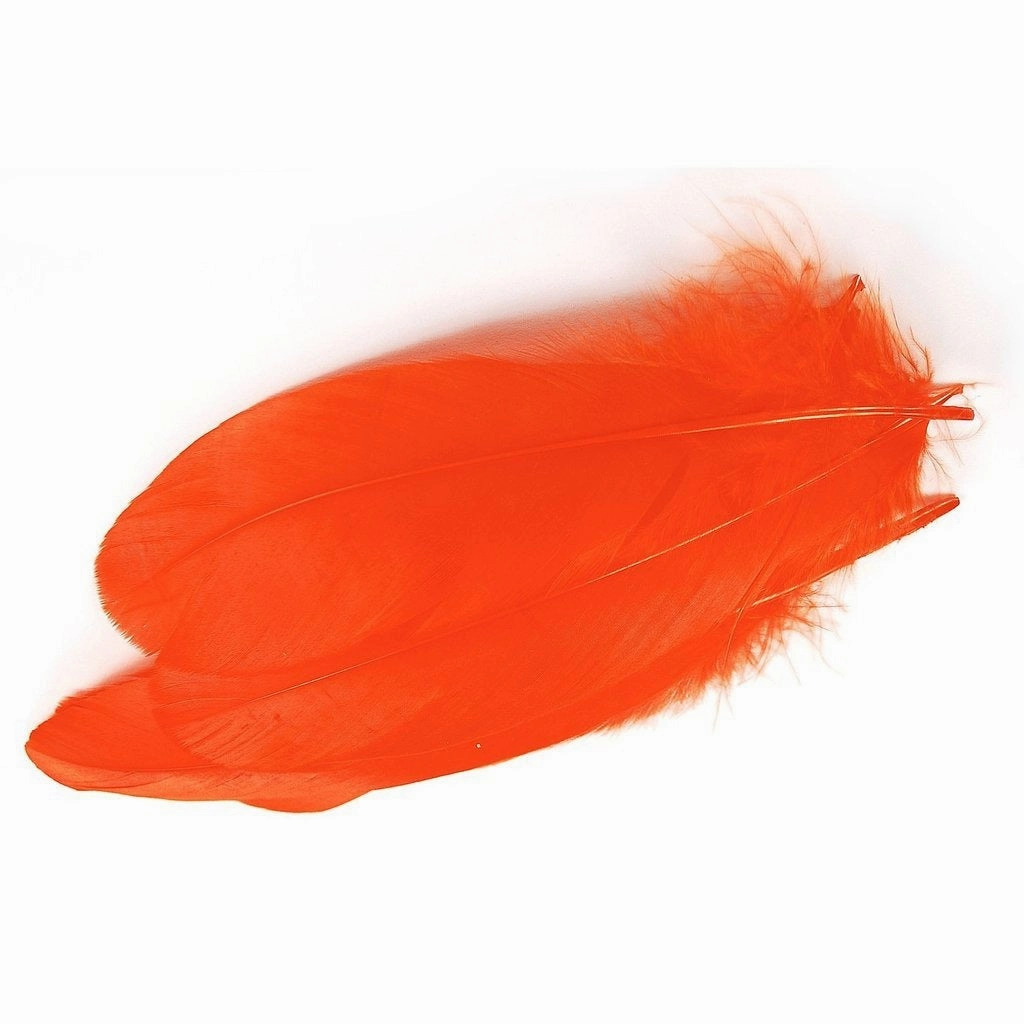 Goose shoulder Feathers - Wapsi