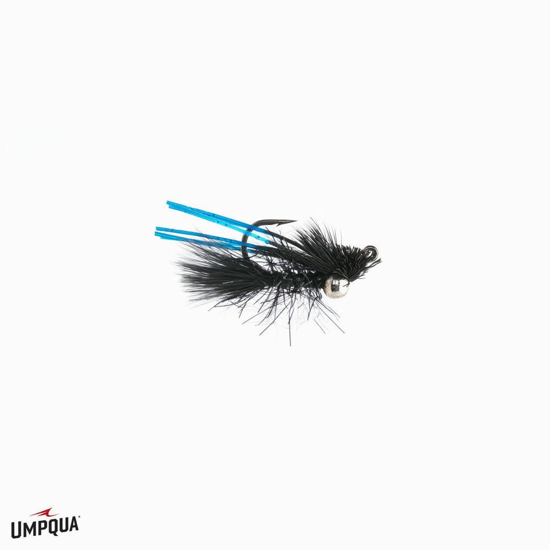 Great Carpholio Jig