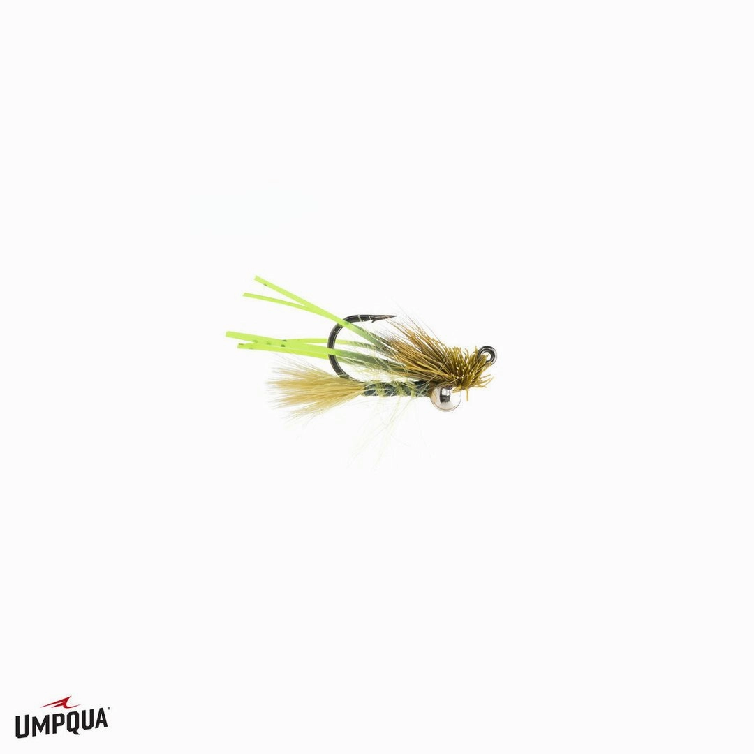 Great Carpholio Jig