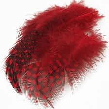 Guinea Body Feathers - Wapsi