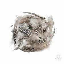 Guinea Body Feathers - Wapsi