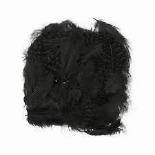 Guinea Body Feathers - Wapsi