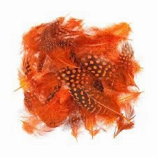 Guinea Body Feathers - Wapsi