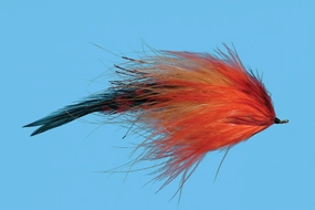 Haley's Comet