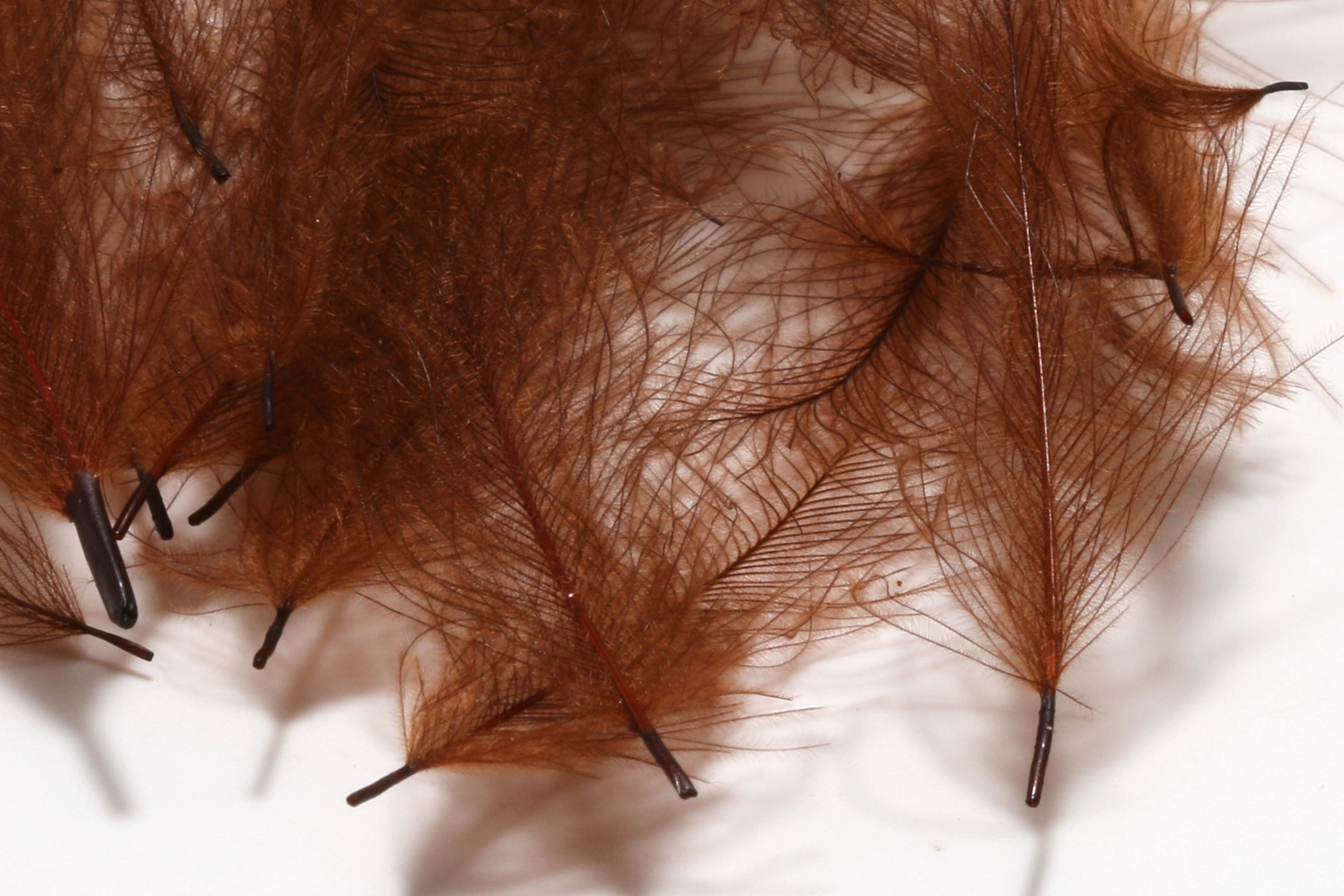 Hareline 1 Gram Pack Cul De Canard