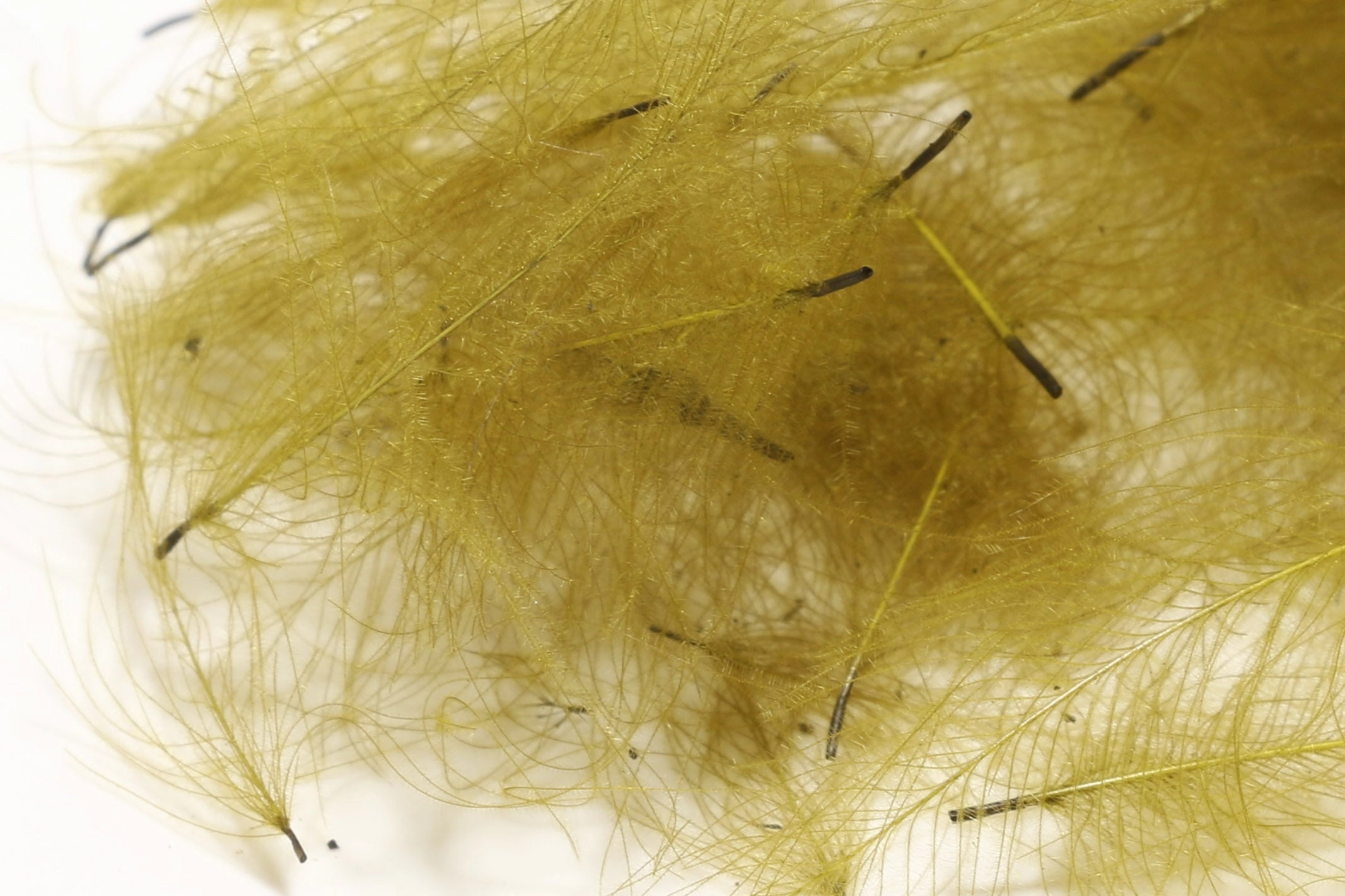 Hareline 1 Gram Pack Cul De Canard