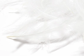 Hareline 1 Gram Pack Cul De Canard