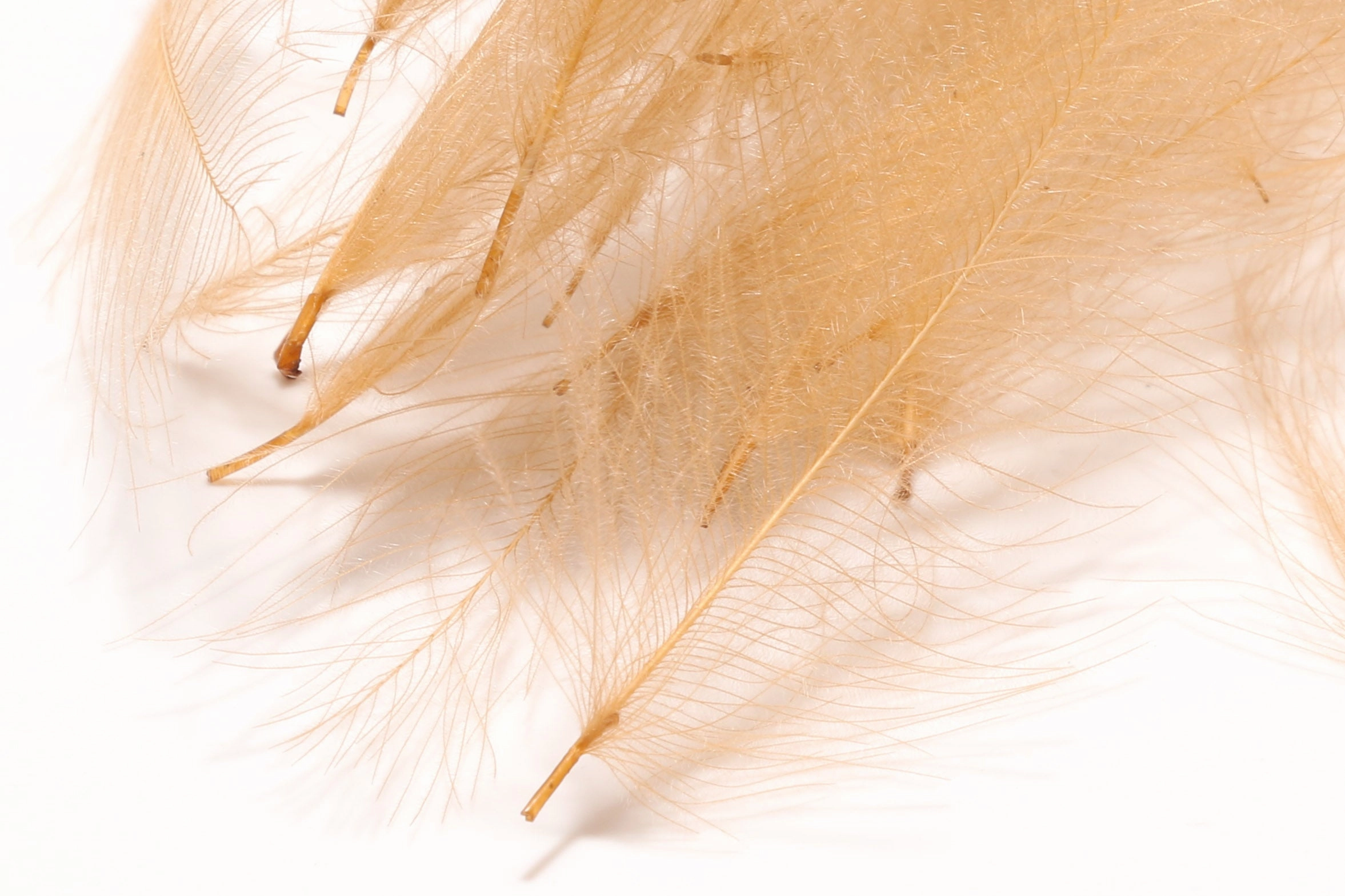 Hareline 1 Gram Pack Cul De Canard