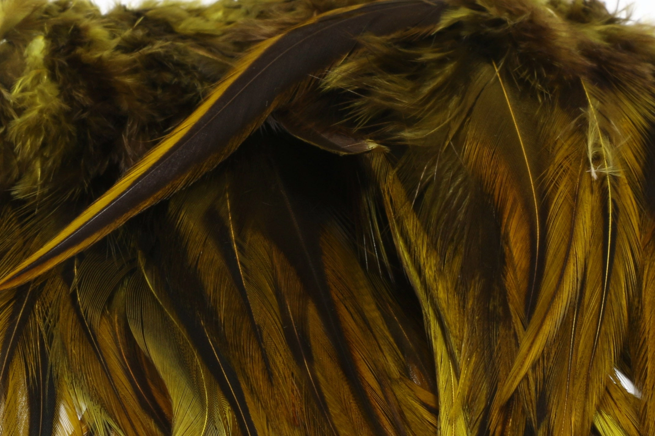 Hareline Badger Saddle Hackle 5-7"