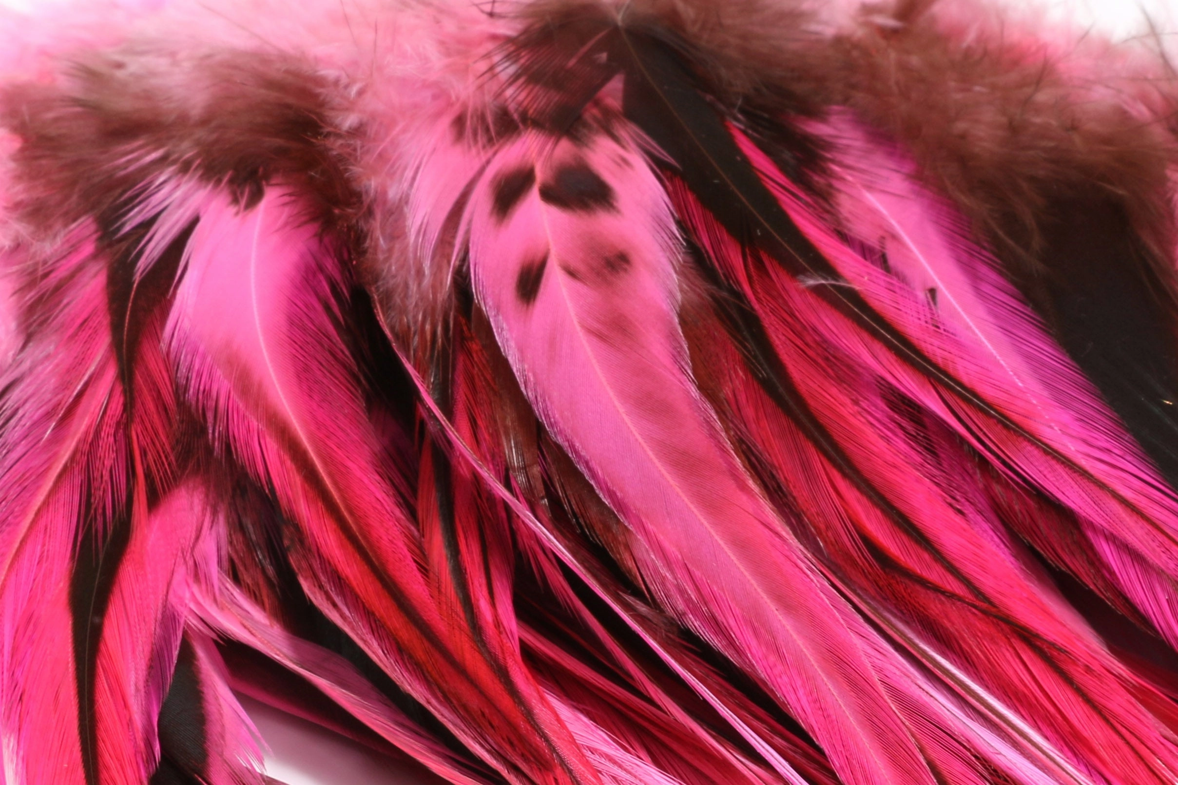 Hareline Badger Saddle Hackle 5-7"