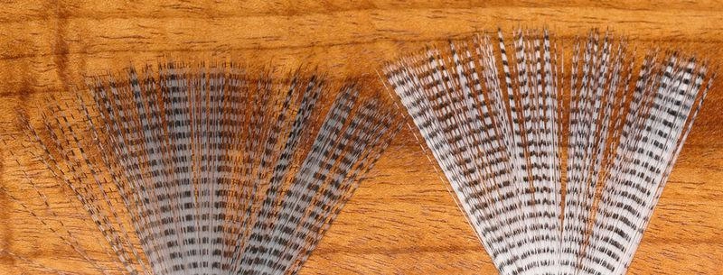 Hareline Barred Mayfly Tails