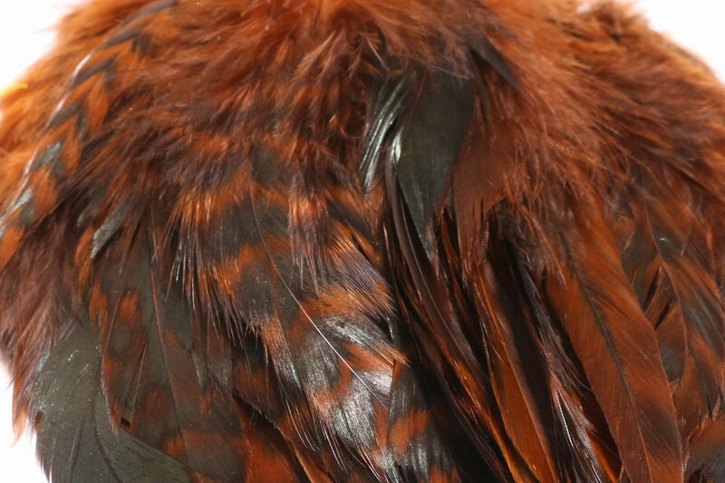 Hareline Barred Variant Schlappen 5-7"