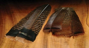 Hareline Cinnamon Tip Turkey Tail Feathers