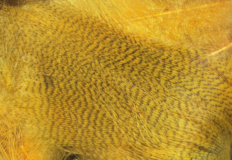 Hareline Dubbin Mallard Flank