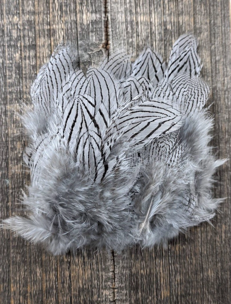 Hareline Dubbin Silver Pheasant Body Feathers