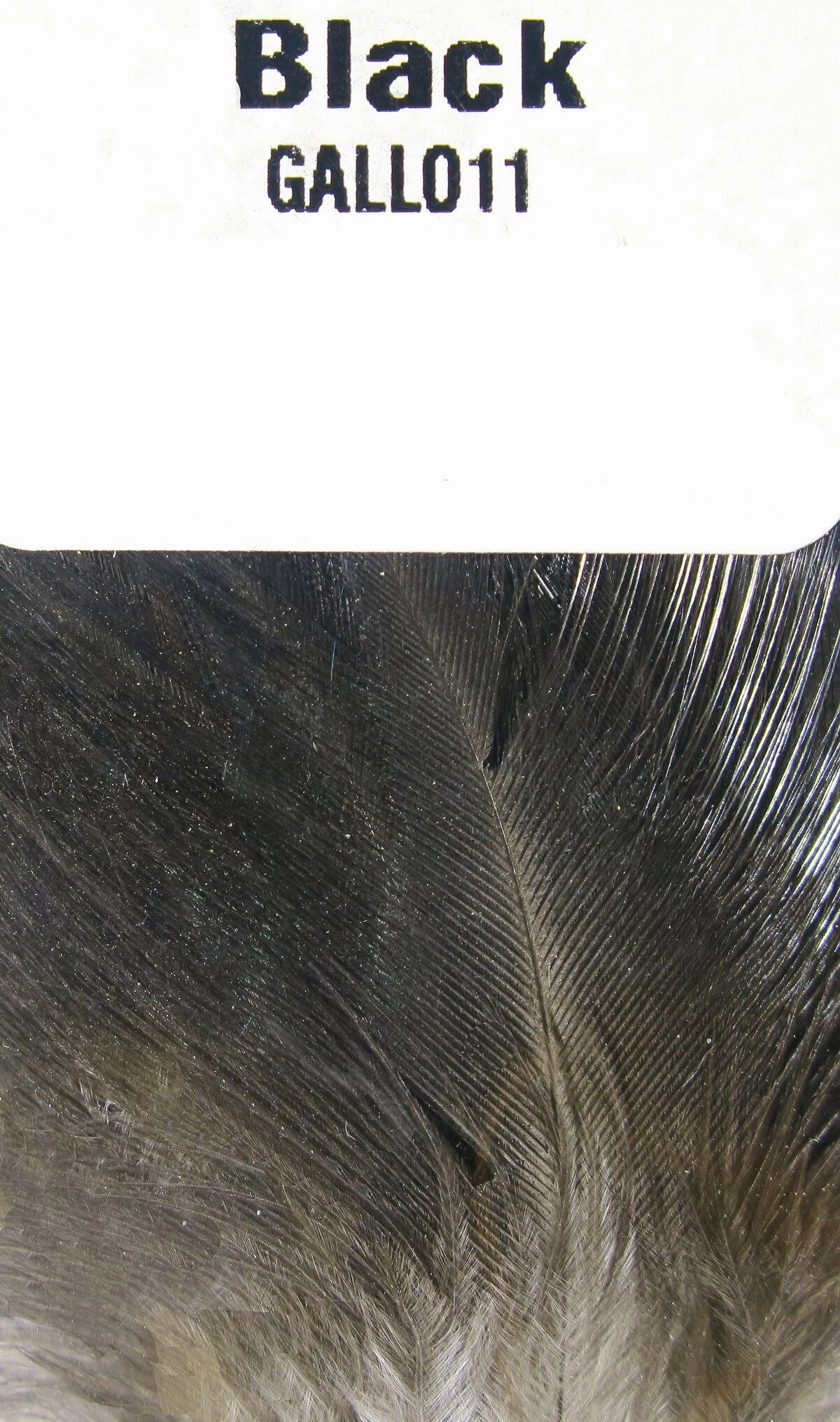 Hareline Gallo De Leon Saddle Feathers