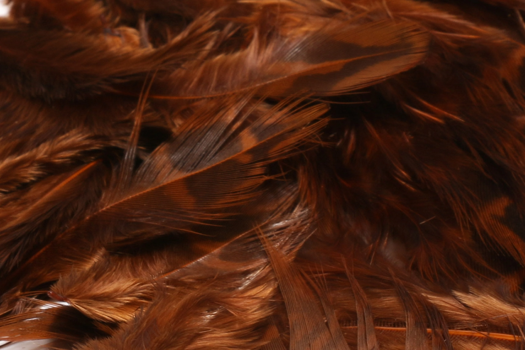 Hareline Hen Pheasant Body Soft Hackle
