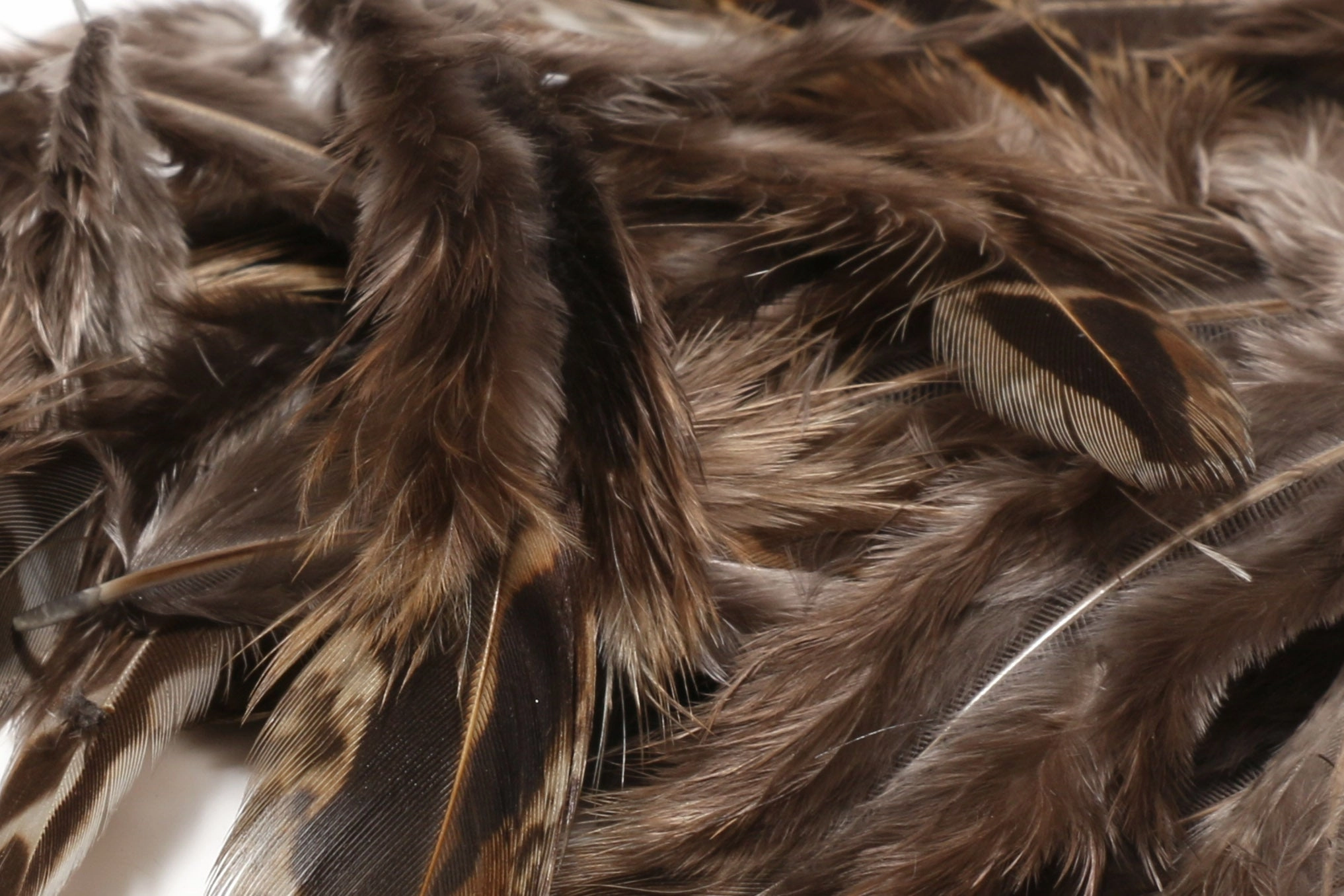 Hareline Hen Pheasant Body Soft Hackle