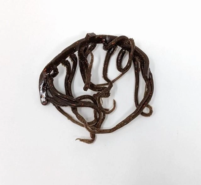 Hareline Mini Squiggle Worms