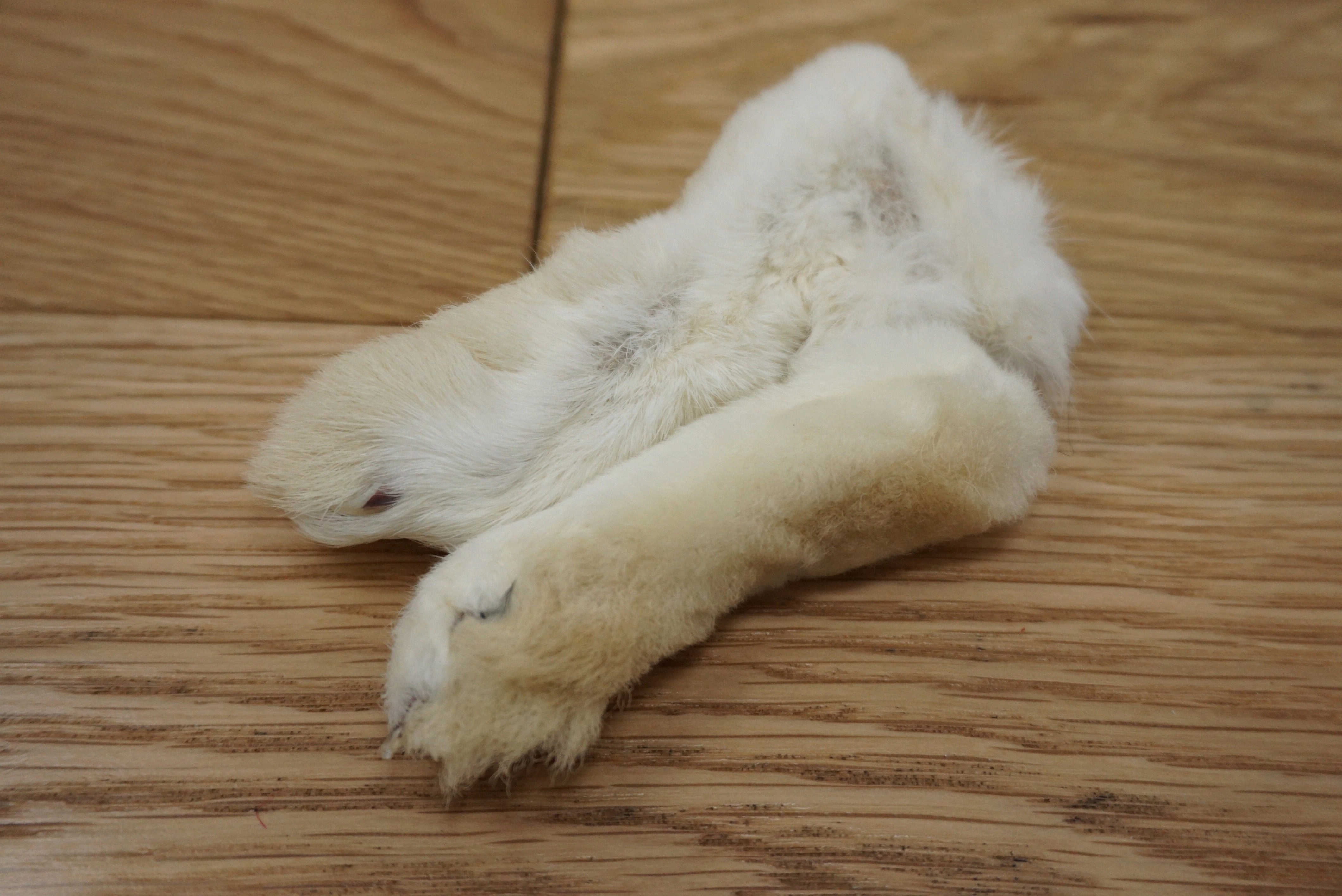 Hareline Para Feet