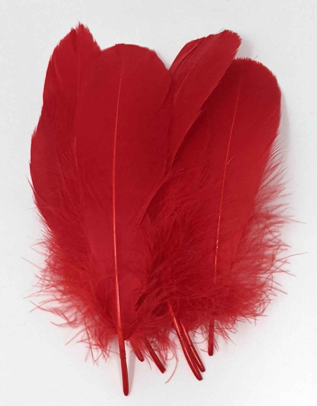 Hareline Select Goose Shoulder