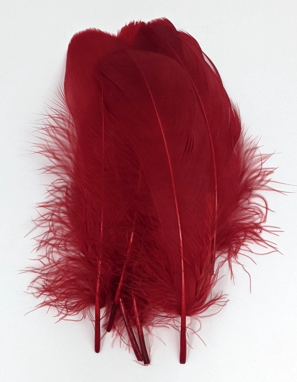 Hareline Select Goose Shoulder