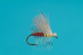 Harrop's Fluttering Yellow Sally