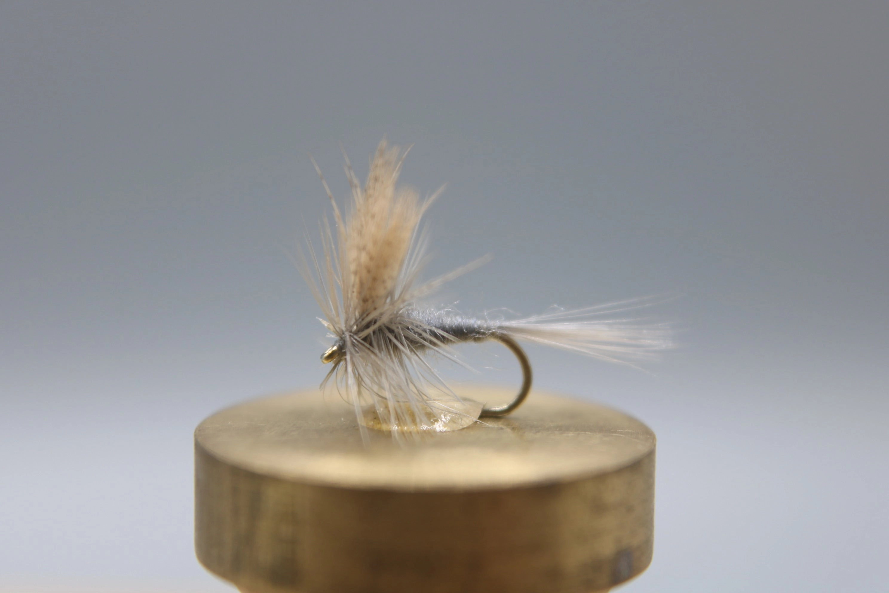 Hendrickson Dark Dry