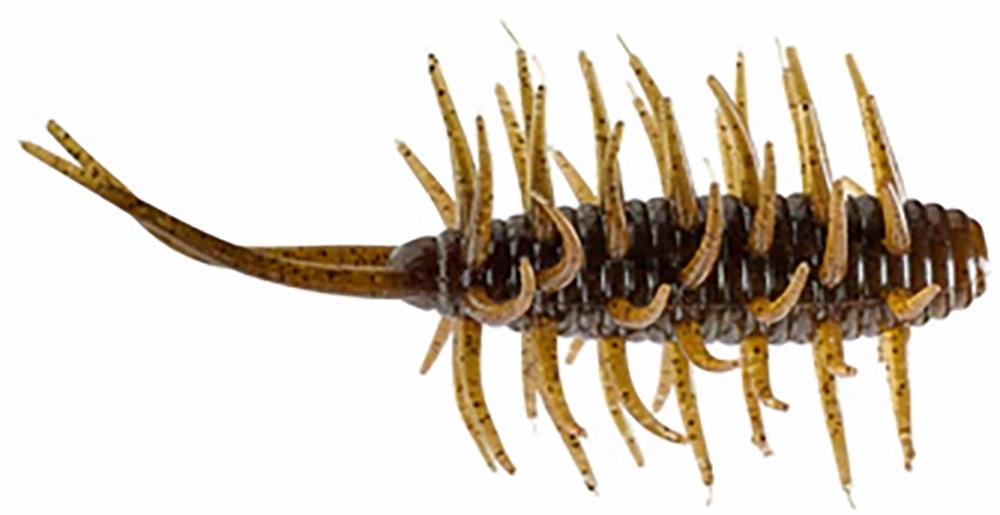 HIDEUP Coike Medium Shrimp - 3 Inch